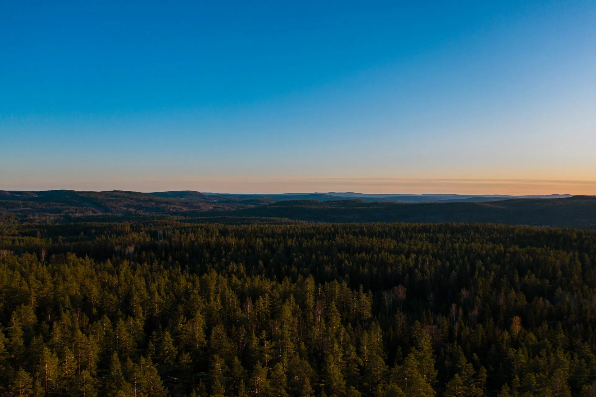 Norrländskt landskap i soluppgång